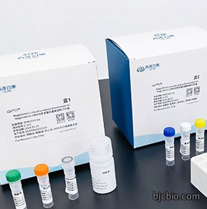血浆低丰度蛋白富集磁珠试剂盒MagicOmicsDMB