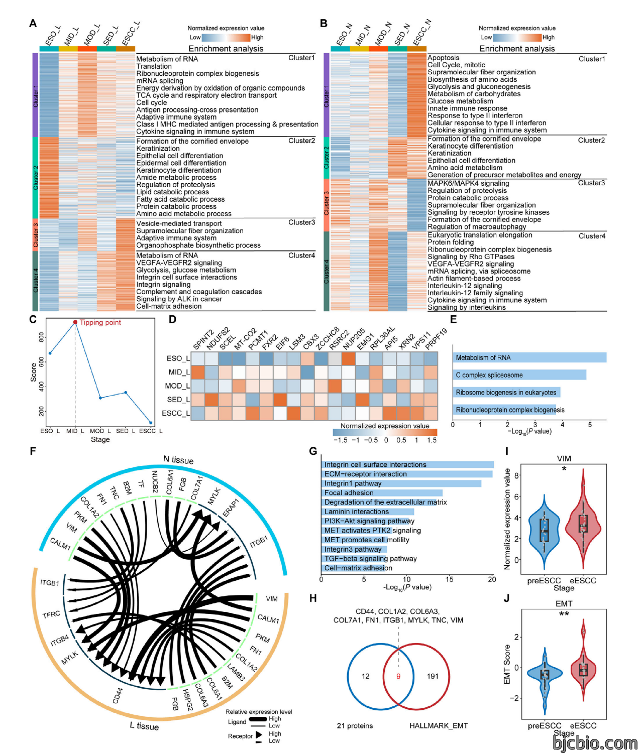 202603-Adv Sci (Weinh)-Spatiotemporal Proteomic Mapping Reveals Early Warning Signals of Esophageal Squamous Cell Carcinoma Progression_06.png