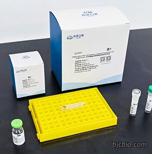 微量/通用型蛋白质组学试剂盒MagicOmicsMMB