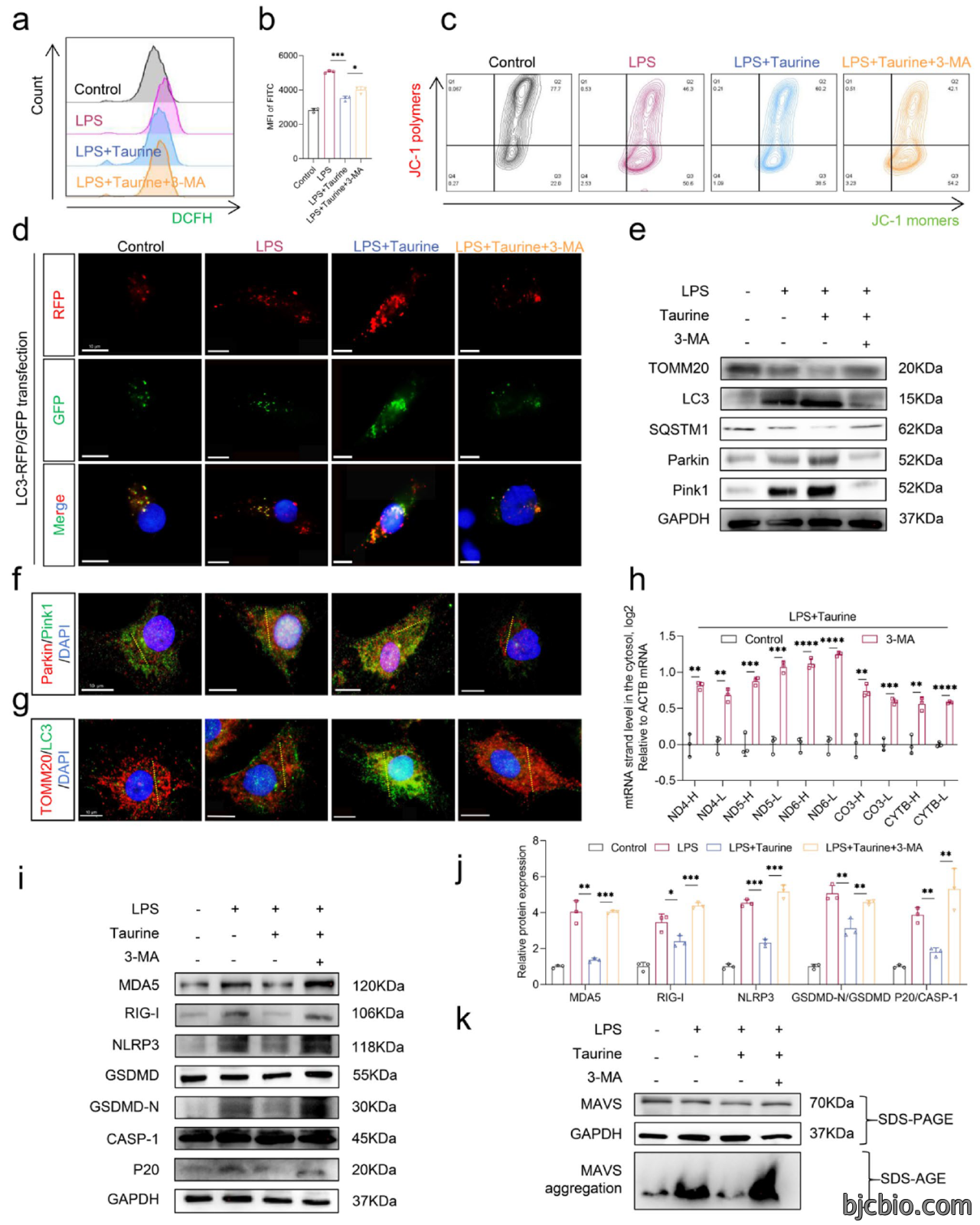 1778304799371807.png 微信图片_2026-05-09_132046_781.png