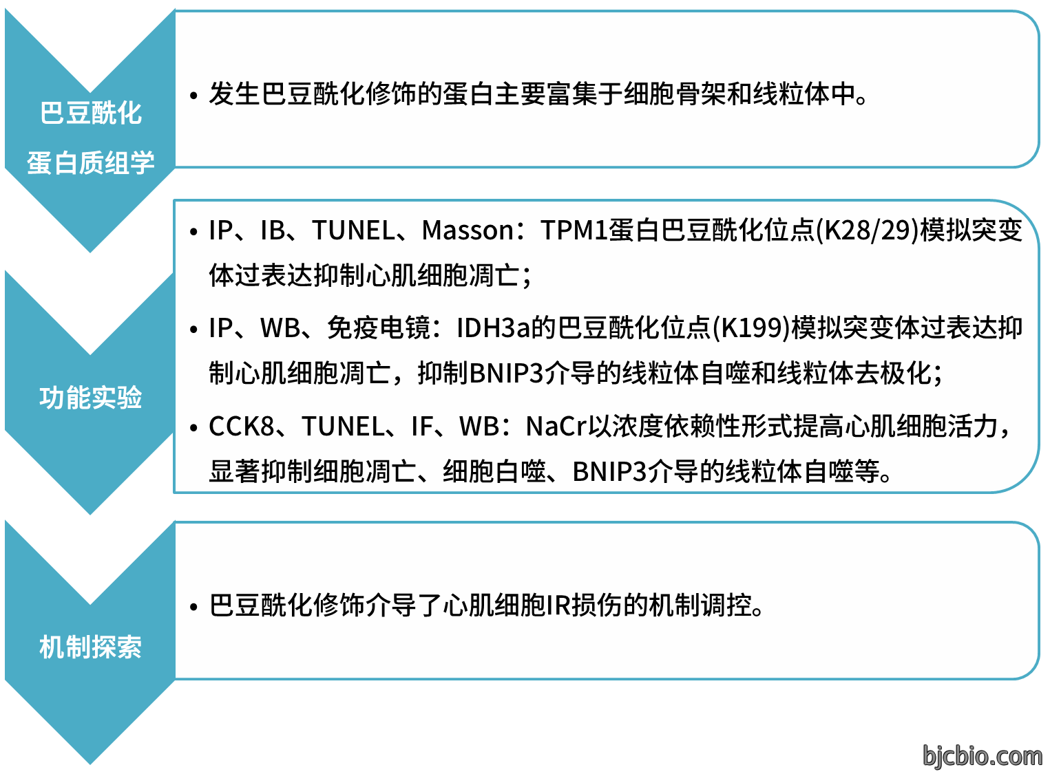 经典案例