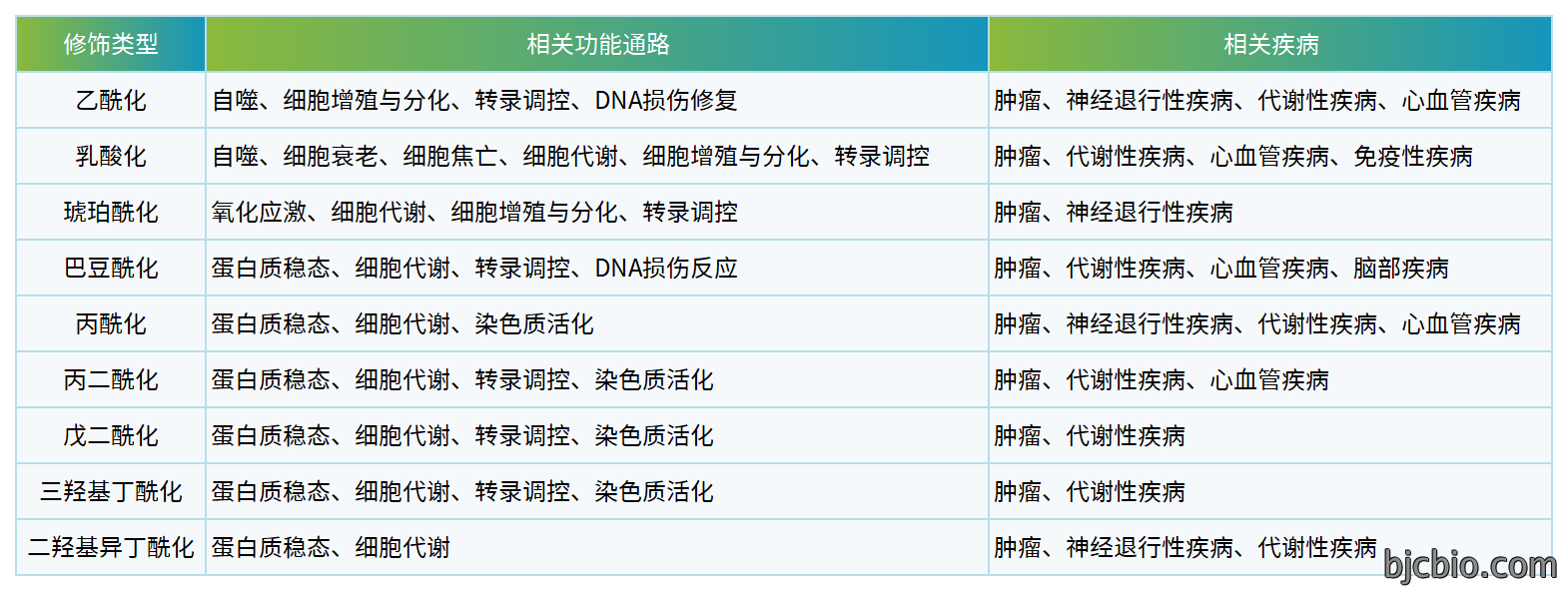 酰化-功能与疾病.png