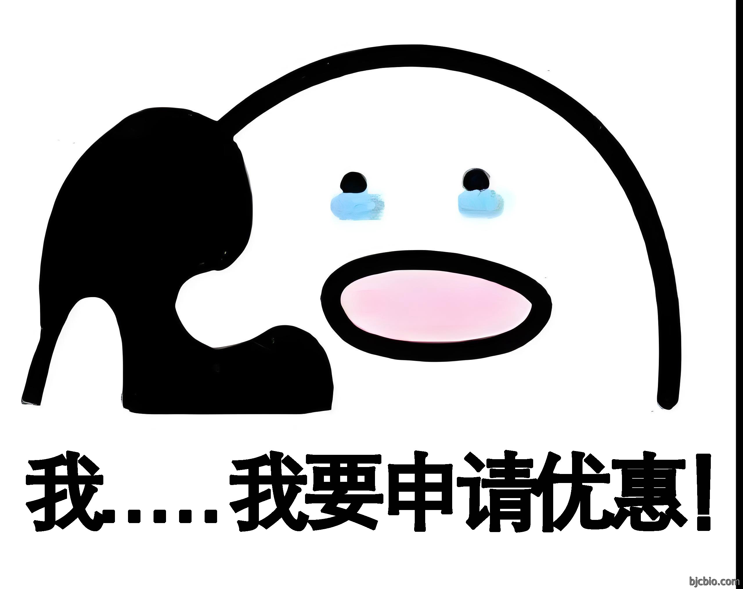 1726628803313629.jpg 324b8e86-c554-4e00-874d-07dcc1b6f04f(1).jpg