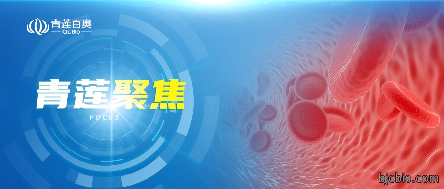 运动真的能“逆龄”大脑？最新研究揭秘：这些血浆蛋白是关键！